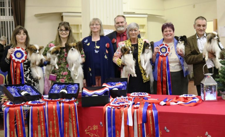 Papillon Winners